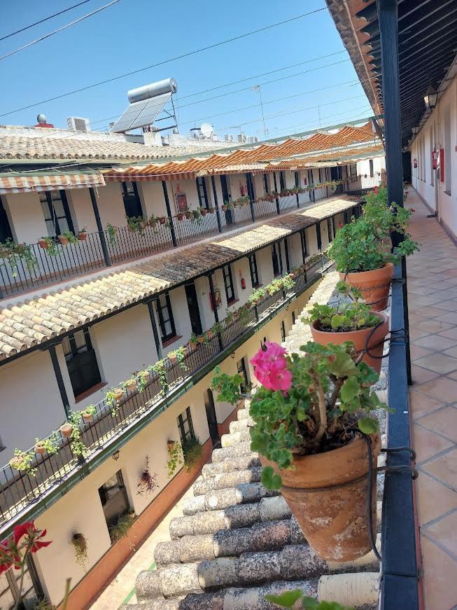 Patio Cartuja Appartement Sevilla Buitenkant foto